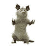 1823ba7ae9d2cce55fa078e.gif