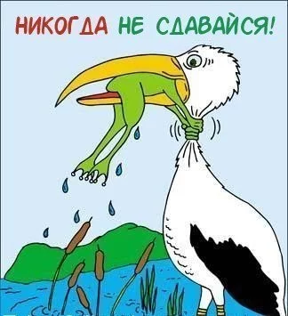 1825761_4524271_1c406dd4230ab49e78eddf32a0478896_b.webp
