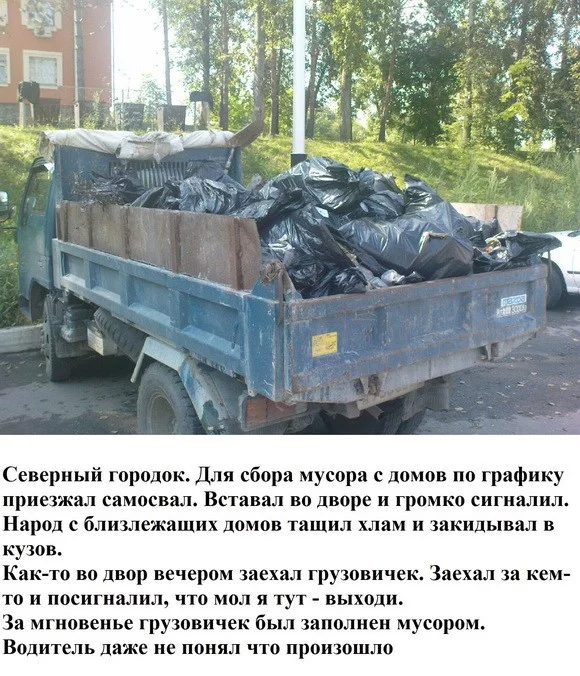 1826092.webp
