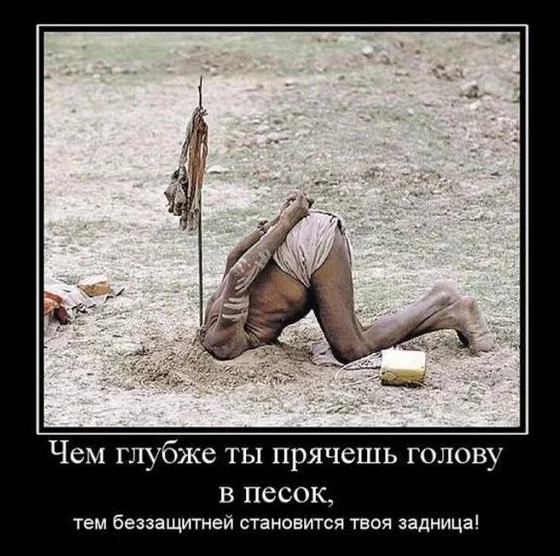 1831095_1000.webp