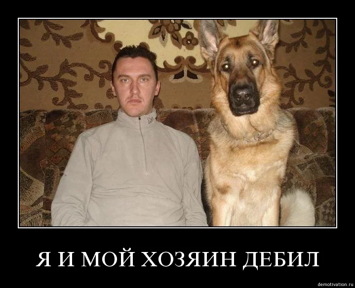 1832867e.webp