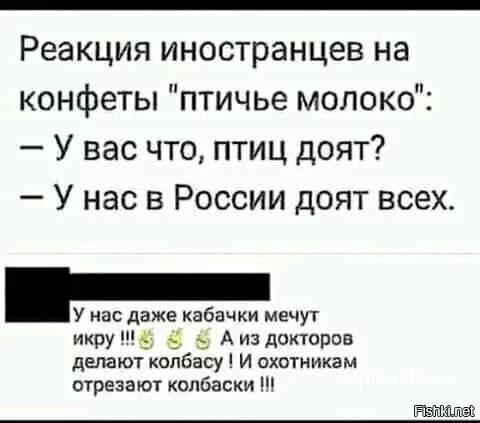 18456536427a68032.webp