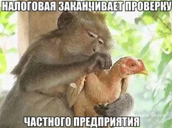 184784506c067b0505117.webp