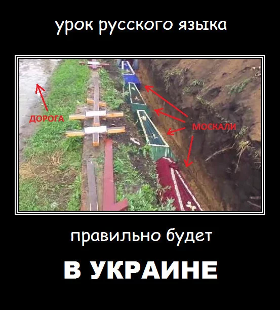 184812_original.webp