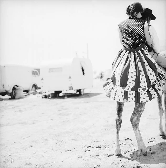 18493.webp