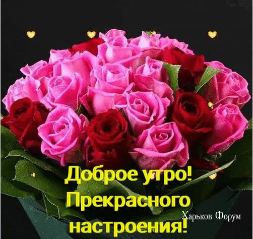 184cea5bc7f02cc02f1a3.jpg