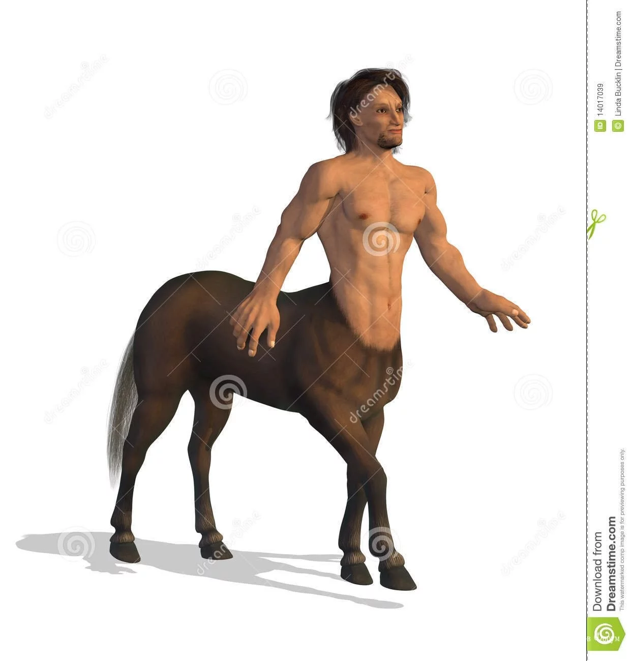 184e620cba73268c54c6.webp