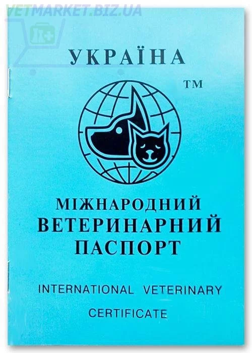 185.webp