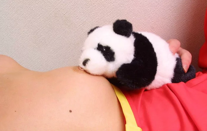 18597619_panda.webp