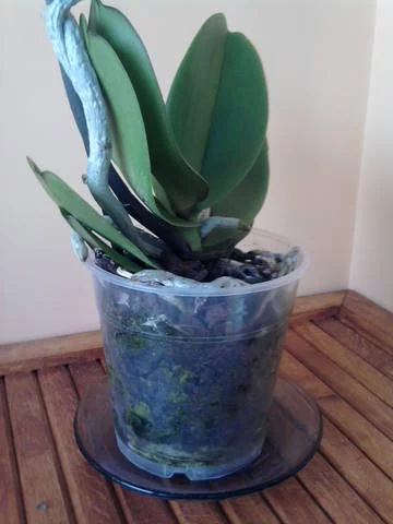 1869373_m.webp