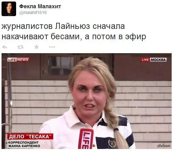 1869805_1000.webp