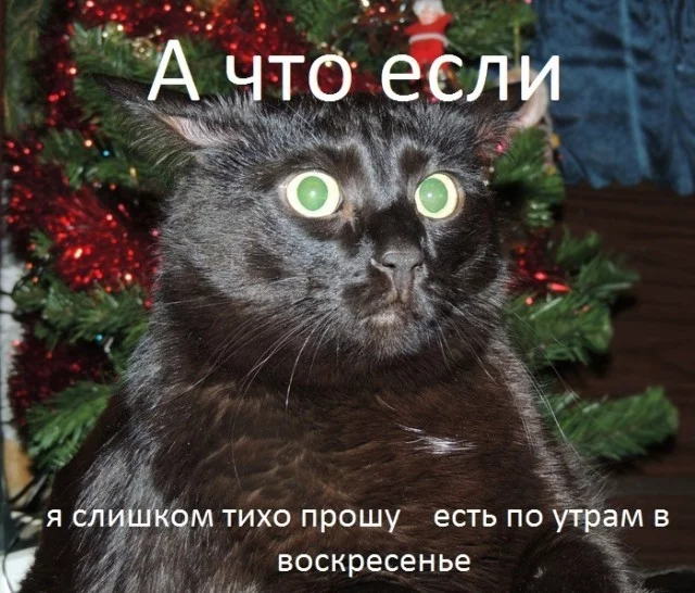 1869884.webp