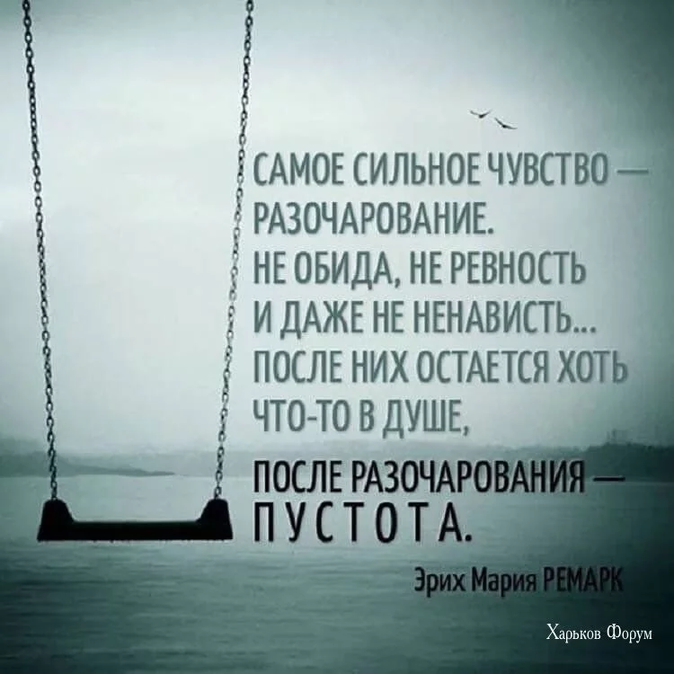 18733bcabdd94cfbbfd620.webp