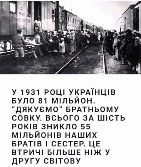 187752490-2343859022413279-8453105128250492510-n.webp