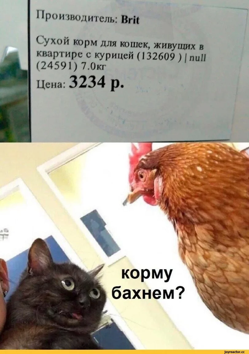 187c65705545717612690.webp