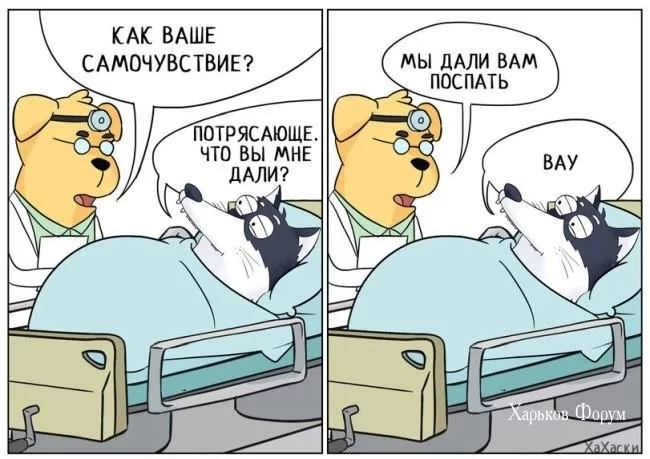 188c0b616c7b1fb100.webp