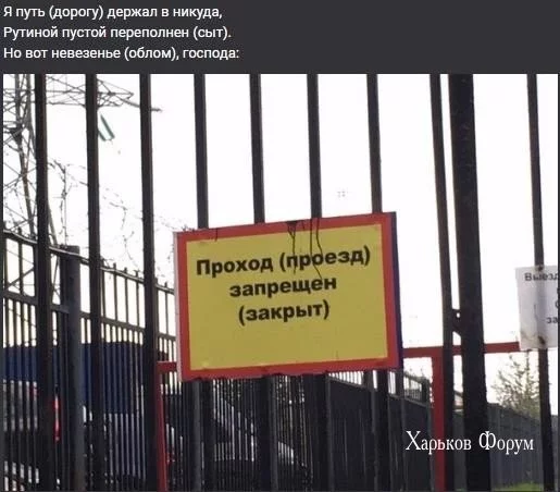 1893e446a8d57e560.webp