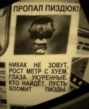 18981333.webp