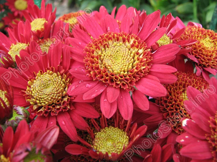 189_med.webp