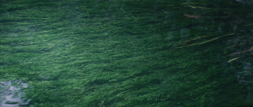 189d83caef2581f3271ac6ec29e43351e9196ca9.gif