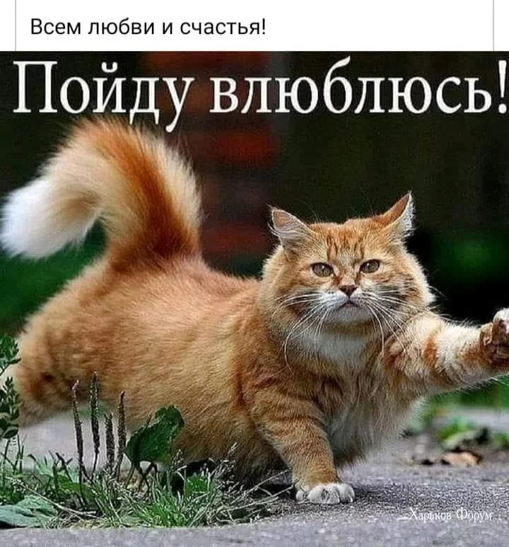 18a3ce0f30f53d74cd8bd4.webp