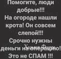 18b7c7eaafe3fea13.webp