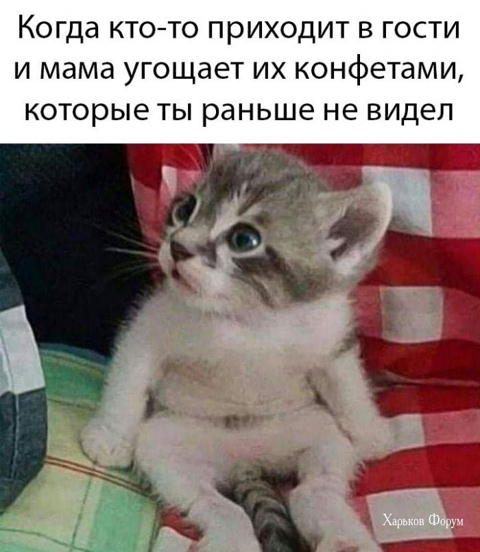 18b9c44875f91d362257.jpg