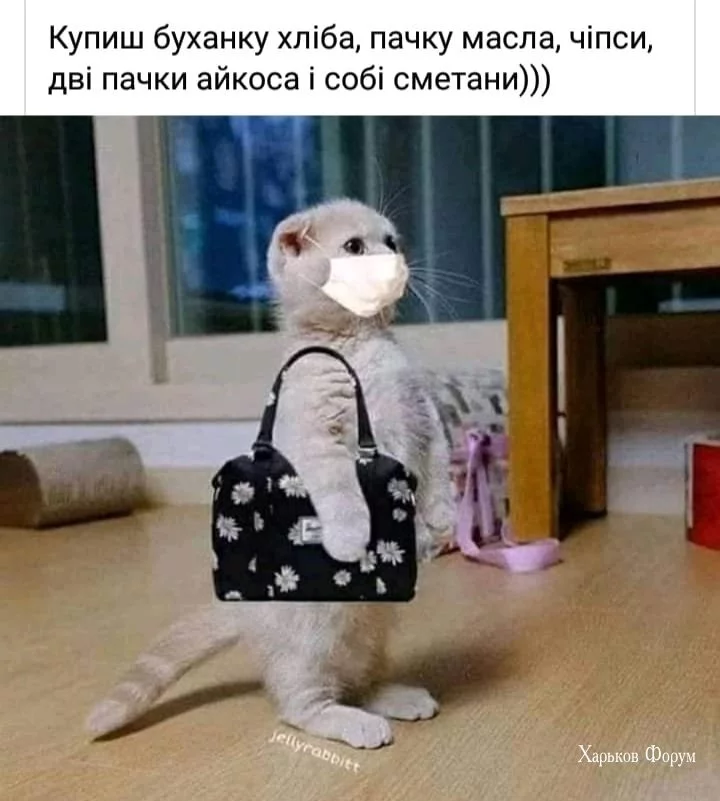 18ccb3f4b73207c9c10062c.webp