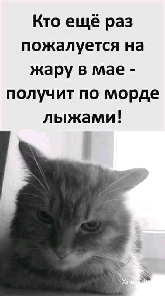 18cf79e1d92c4b6406d3d3.webp