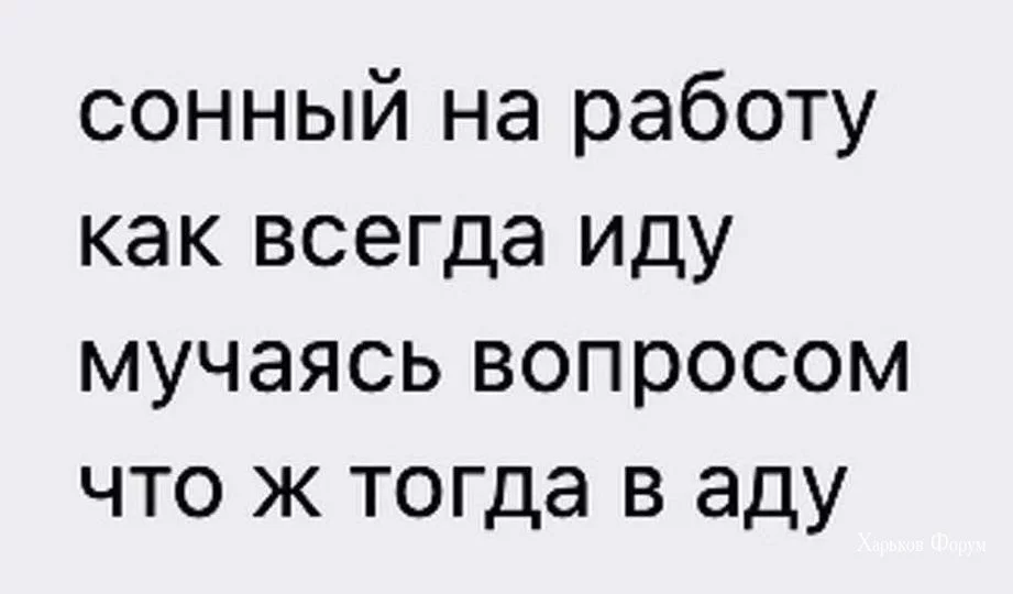18dfbd672bd11199290.webp