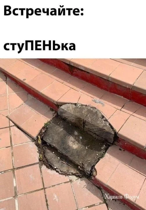 18e4b08abb5e57f7d.webp