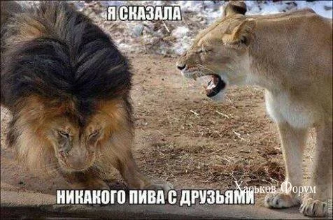 18fc9c062f4627e250f2b015.webp