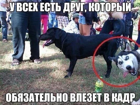 18ffa0a2e75b94eb6a299444a81cae1e.webp
