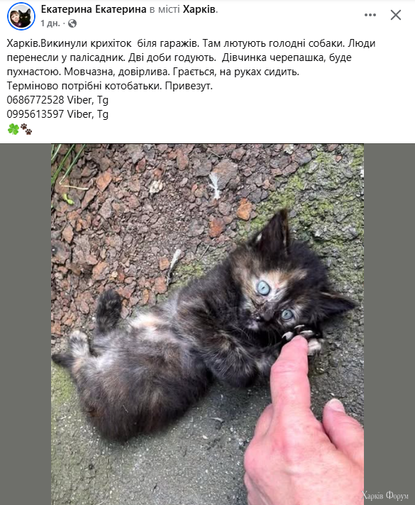 19.08.25.PNG