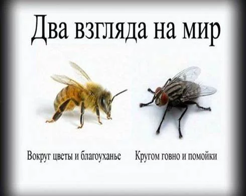 19003_original.webp