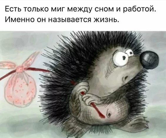 1901e926cf11a97b8391318192c18e06.webp