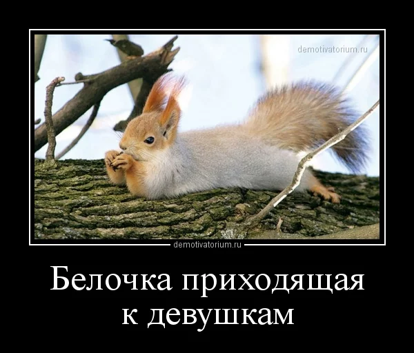 1903131020117209.webp