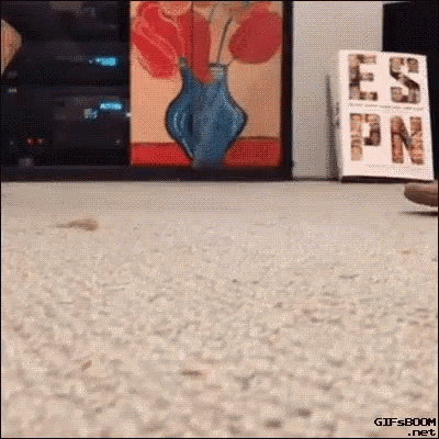 19089eed5ae30d8d5e8.gif