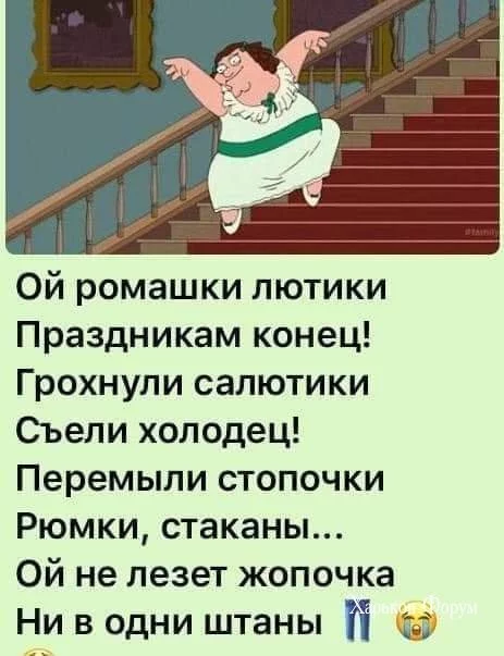 190b1778fc6170dfe41d075.webp