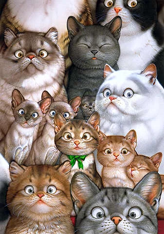 19118035_18547483_cat32.webp
