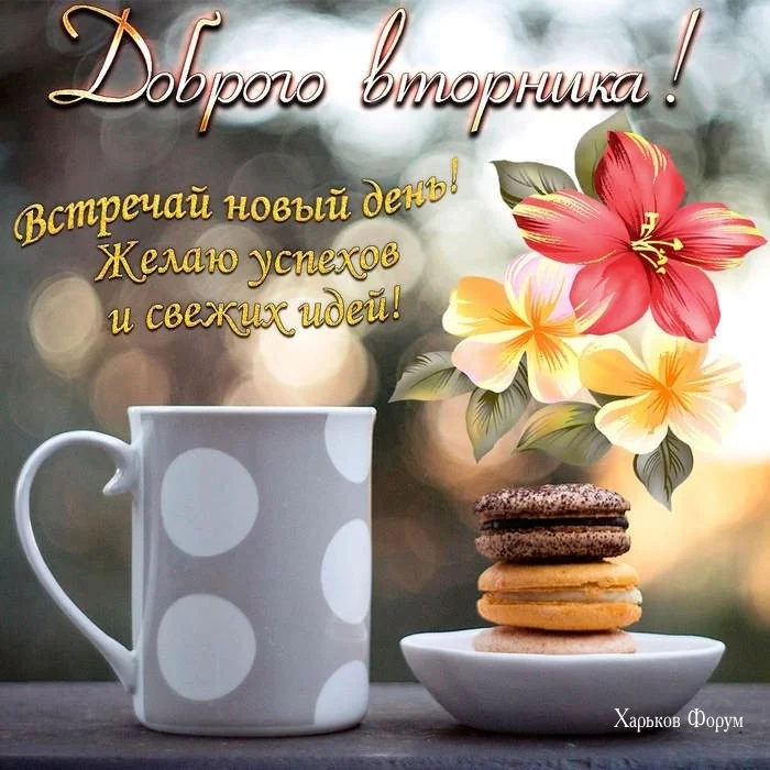 1914ad310d2d796c1.webp