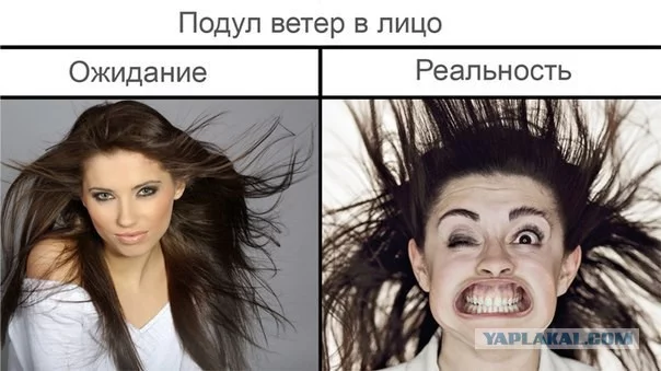 1919308.webp