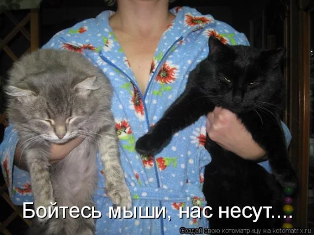 192.webp