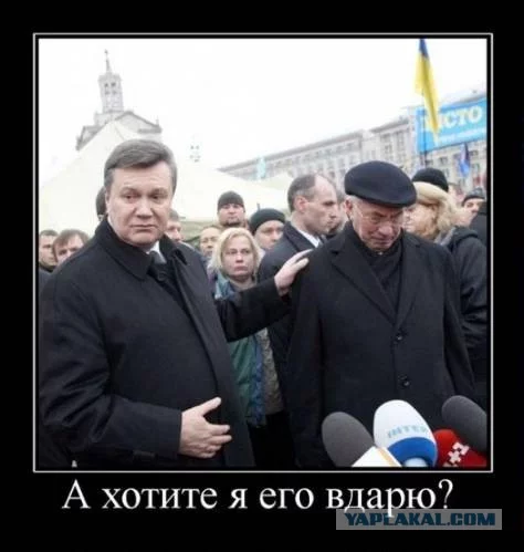 1925351.webp
