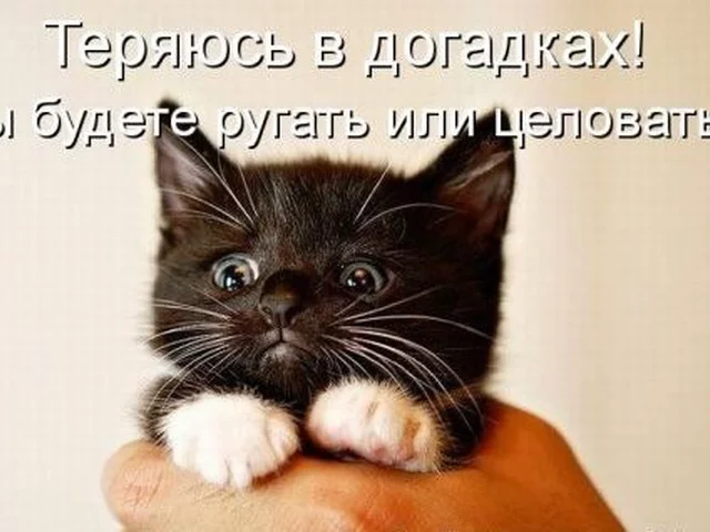 193075_f87.webp