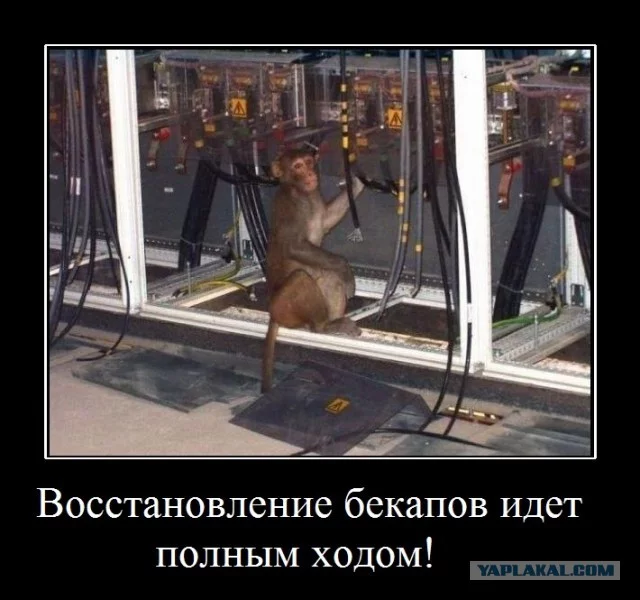 1938089.webp