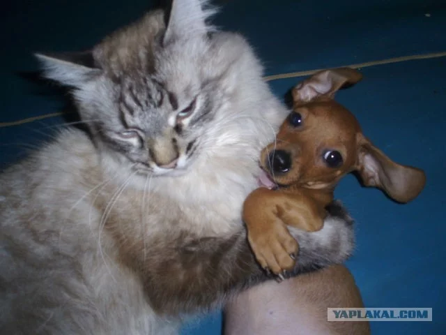 1939637.webp