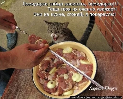 193b738b430d5a2dd93a.webp