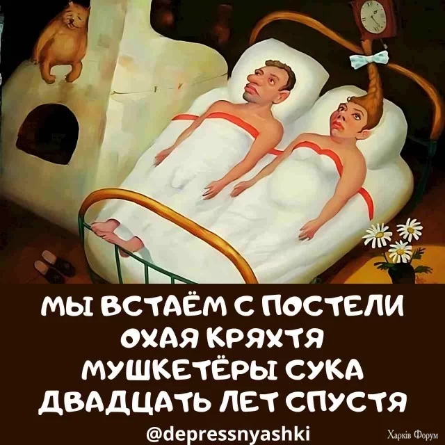 19433057.webp