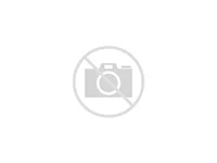 1944611.webp